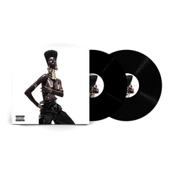 The Album 2LP